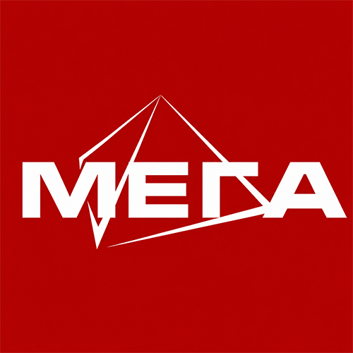 Мега Бизнес